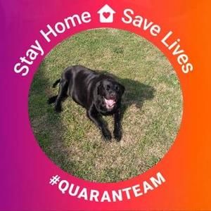 Meet your Posher, Rita